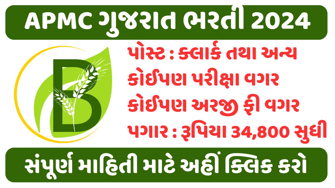 APMC Gujarat Recruitment 2024